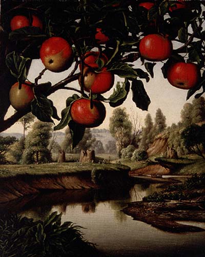 Kisah Pohon Apel